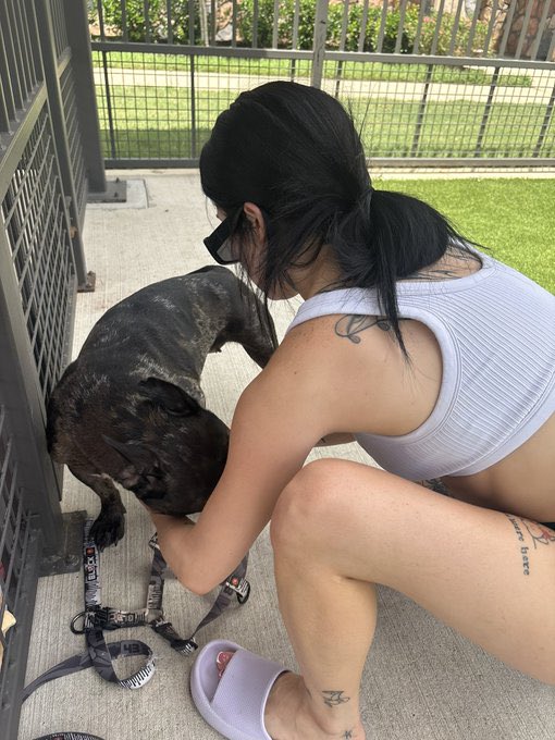 CertifiedQuando's tweet photo. https://t.co/FML9VuPW5P
https://t.co/FML9VuPW5P
Nothing sweeter than this, a love that's one of a kind🐶❤️
My fur legged lover does it better
#dogs #dogmummy #dogsdoitbetter #zooslut https://t.co/nHM7c6u26L