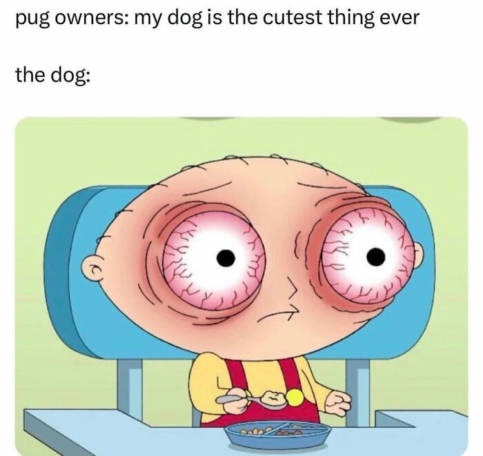 WholesomeMeme's tweet photo. https://t.co/THjUweIpqF