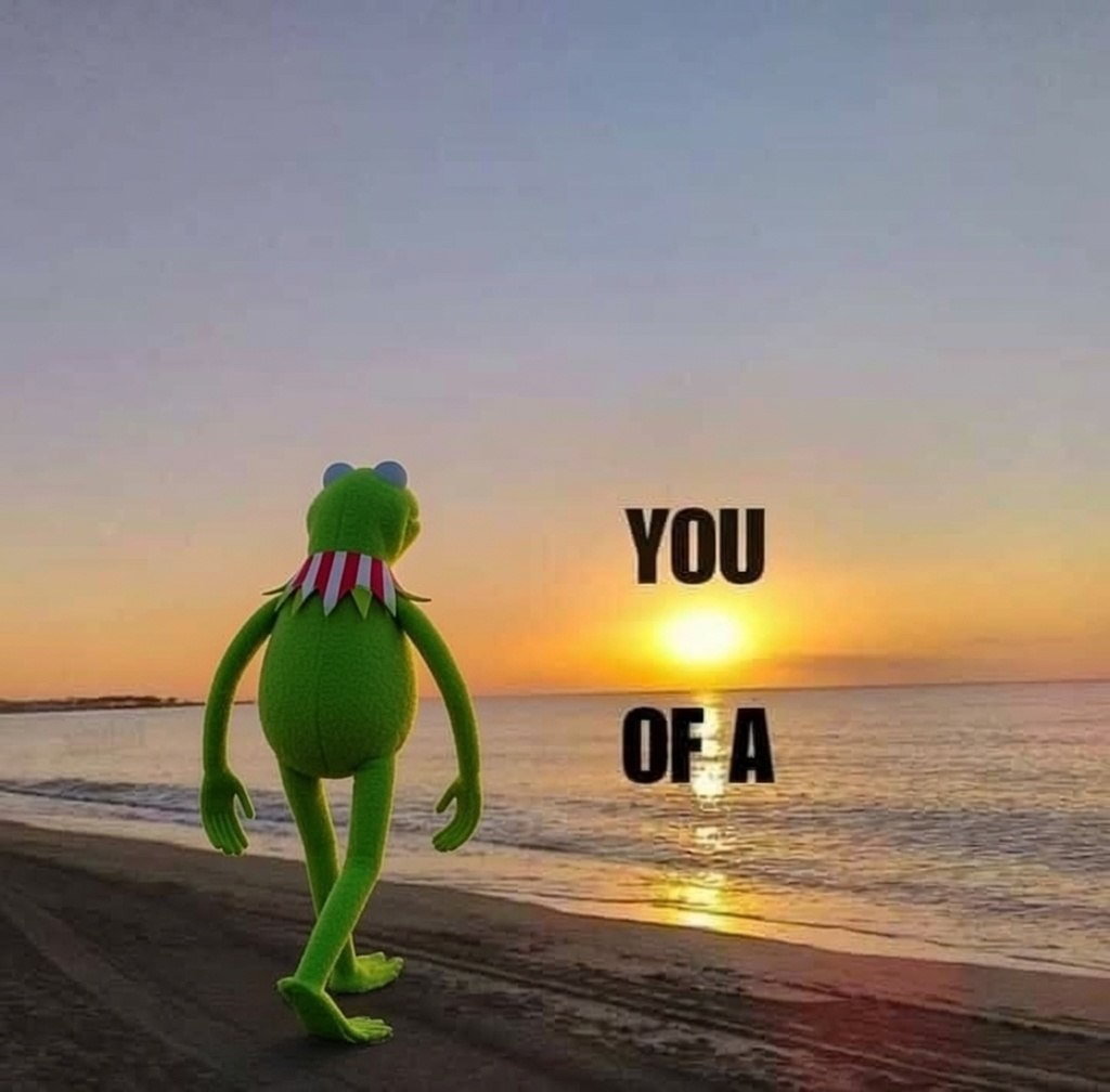 calminblack's tweet photo. @AlgodTrading Gm. Different narrative, same strategy find quality early and stick with it. KERMIT is still one of those for me. https://t.co/TJSPLyH7NS