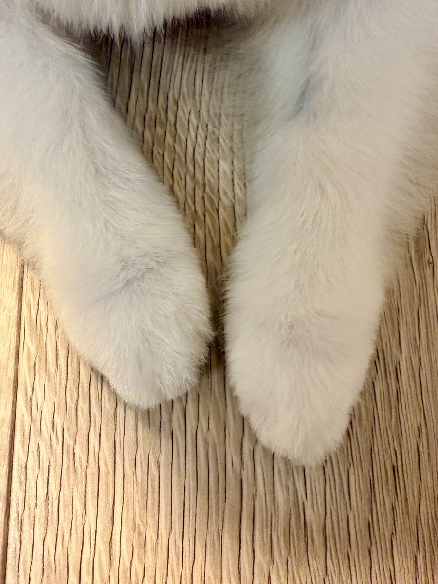 InosukeWorkout's tweet photo. シーズン2
143日目
体重4.5kgと64.2kg
立ちコロ100回 https://t.co/hkvnGYg0ic