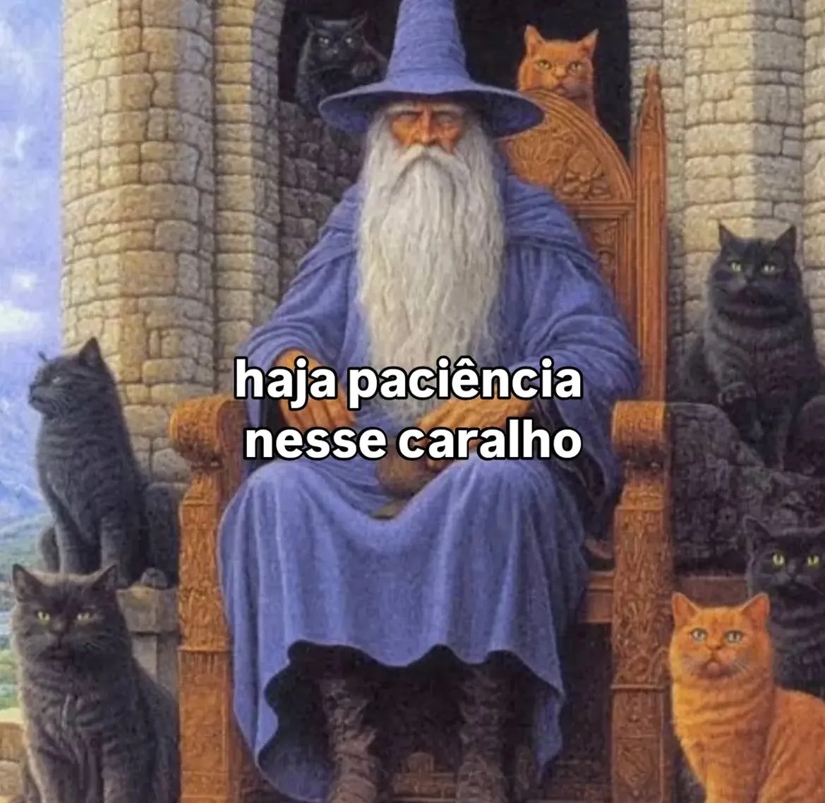 heleninha tweet media