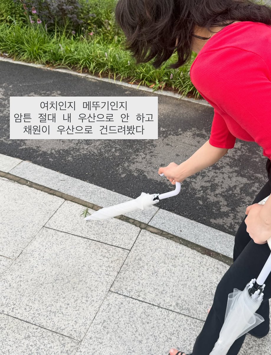 mxngxee's tweet photo. https://t.co/C9xBlJvHiq