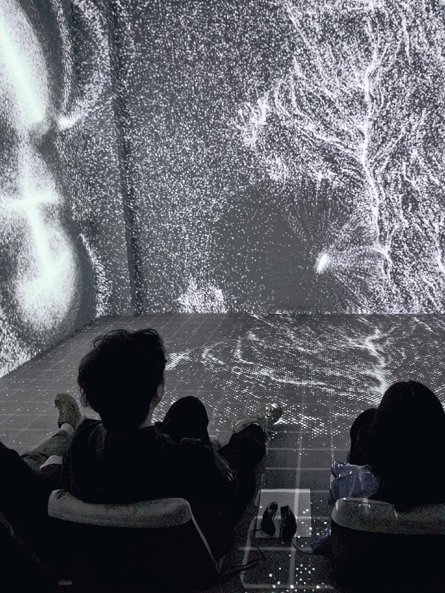 rpstreine's tweet photo. Just had the most mind-blowing immersive art experience at the new gallery—sensory overload in the best way! https://t.co/NMBeyO6Jlf