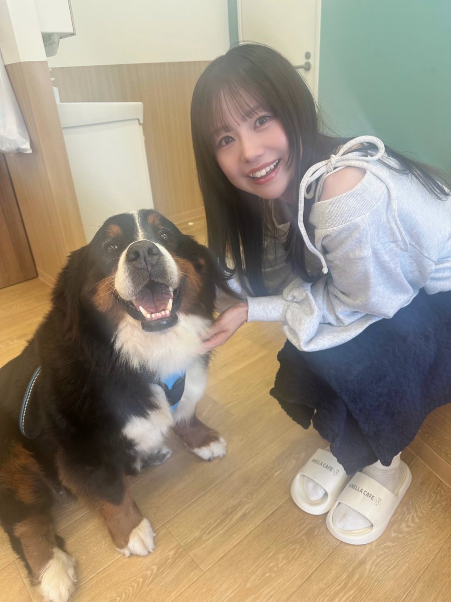 ria__830's tweet photo. プチバズしたので宣伝します！
私の好きなアイドルグループCYNHN(スウィー ニー) (@CYNHNDS)には、犬好きアイドル・ 広瀬みのりちゃん(@minorihirose)がいます！
いつも私の愛犬の写真を見てキャッキャと喜ん でくれます！
皆さまの素敵な愛犬のお写真も、ぜひ広瀬みの りちゃんへ！

▼MV
https://t.co/iofaHNo31f

▼ワンマン
https://t.co/L7S0pERs58
