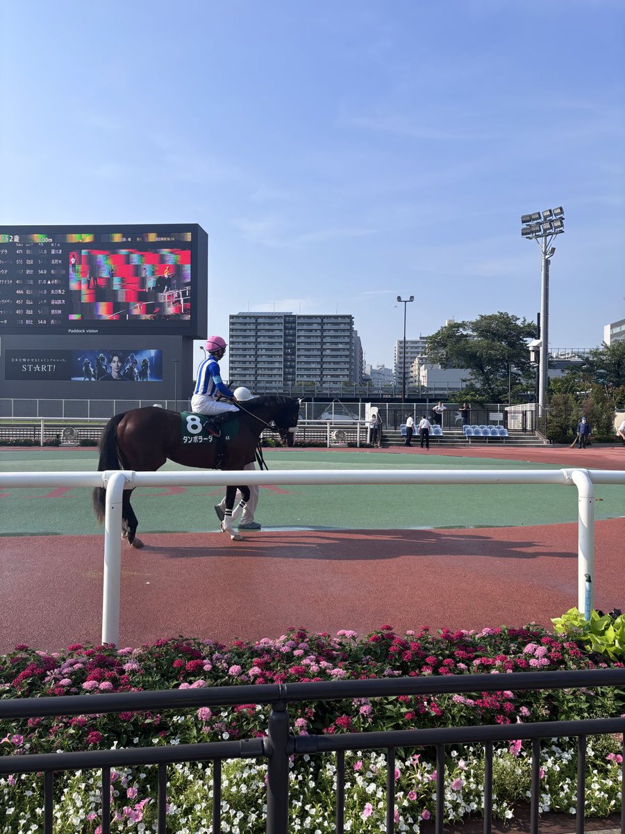 gurusu05's tweet photo. 今日も応援に来たぞ！ https://t.co/BybwNEPi0L