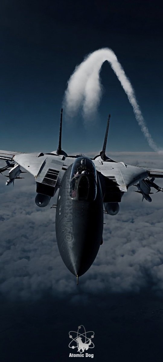 213Raider's tweet photo. 🐈‍⬛️ #TomcatTuesday  #AnytimeBaby https://t.co/PZR29yel4O