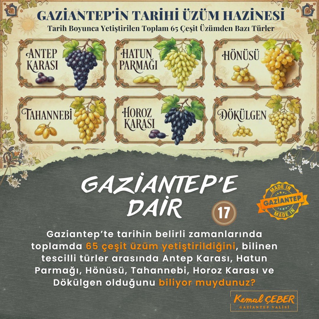 kemalcebervali's tweet photo. Şehrimizin bereketli topraklarında yeşeren her ürün, aslında binlerce yıllık bir kültürün ve emeğin mirasıdır.

Gaziantep, tarih boyunca yetiştirilen 65 farklı üzüm çeşidiyle yalnızca tarımda değil, kültürel zenginlikte de eşsiz bir hazinedir. 

Antep Karası’ndan Hatun Parmağı’na, Hönüsü’nden Tahannebi’ne, Horoz Karası’ndan Dökülgen’e uzanan bu kadim miras; bereketli topraklarımızın, üreticimizin alın terinin ve medeniyetimizin yaşayan izidir.

Bunları biliyor muydunuz? 

🍇 Gaziantep; tarihiyle, kültürüyle ve bereketiyle yaşamaya, üretmeye ve ilham vermeye devam ediyor.

#GaziantepeDair 
#TarımŞehriGaziantep