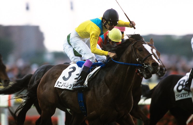 164anton's tweet photo. @specialitynurse タニノギムレット
ダービー馬になり古馬との対決を楽しみにしていたけど…G1も5勝はしてたよね https://t.co/WBo1vJ1FYy