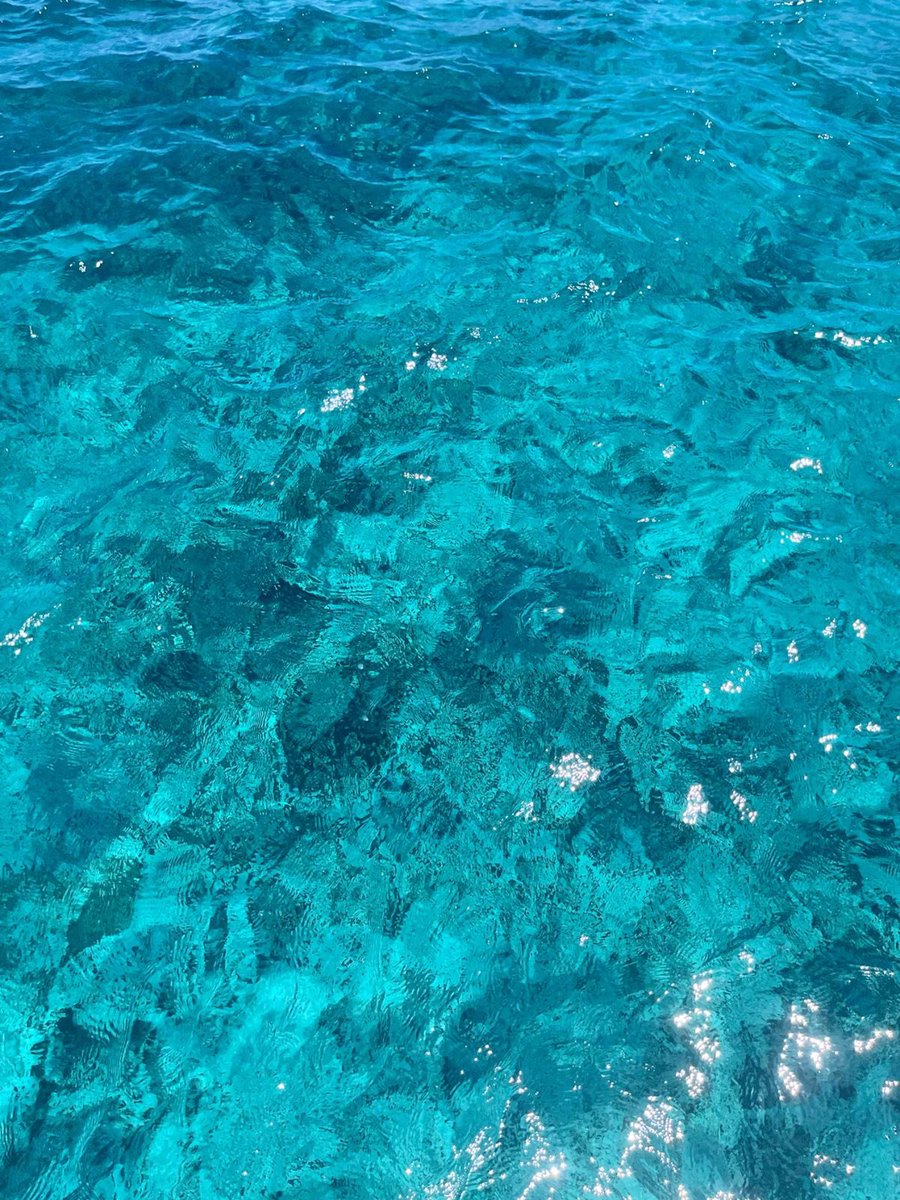 _Naturaee's tweet photo. Ocean blues https://t.co/3BuwwuwdWk