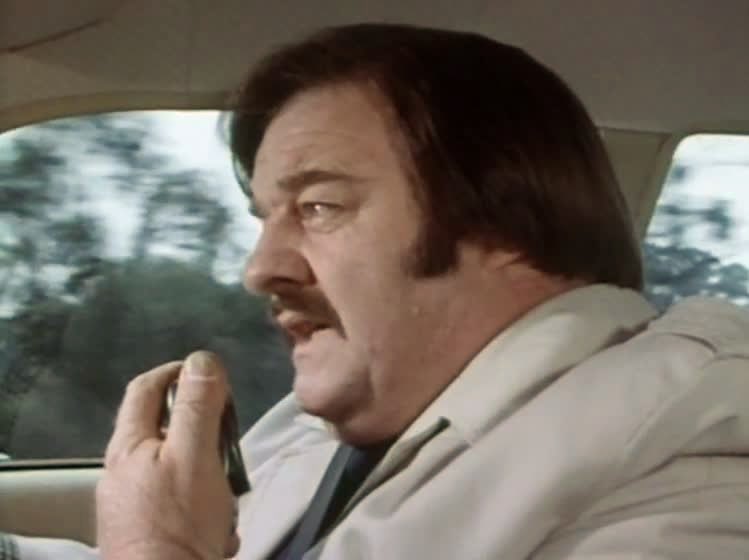 50YearsAgoLive's tweet photo. A new Australian police drama show, Bluey, premieres on the Seven Network. https://t.co/7iTEbUSTM4