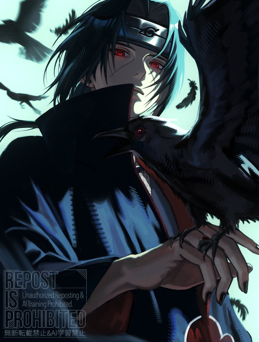 ぴかぴか (@uchihakyodai) / Posts / X