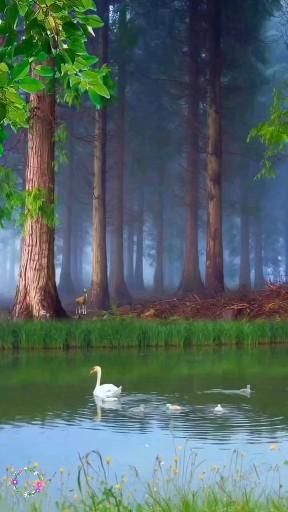 AdribRangel's tweet photo. The ancient tree stretches out to welcome every footstep, as light as if no worry ever existed.
pFr https://t.co/8d50AvhLPi
