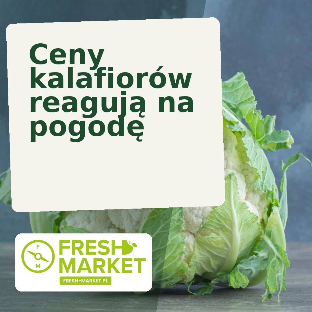 Fresh_Market_'s tweet photo. Ceny kalafiorów reagują na pogodę https://t.co/ZSRm3nnsL1 https://t.co/WN04yFMMss