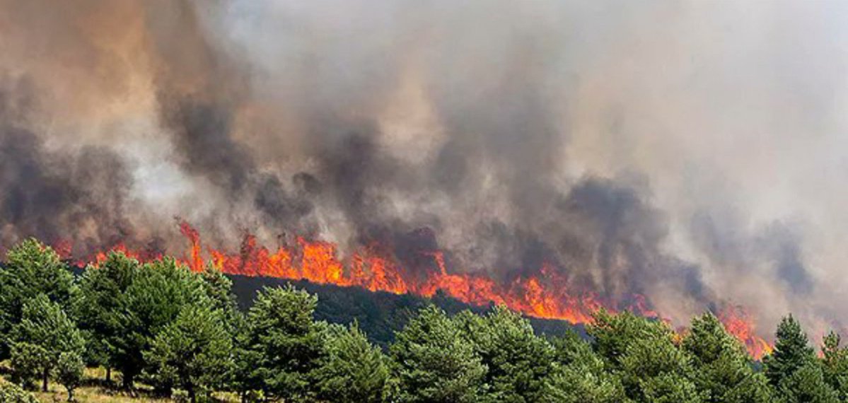 splashjavier's tweet photo. Por si no os habéis enterado Guadalajara está ardiendo por los cuatro costados, una de las regiones más bonitas de España, con un patrimonio cultural y medio ambiental inmenso.
La gestión es del PSOE de @garciapage Cuando se apague espero dimita entre las cenizas
#IFlamierla https://t.co/sEW388AfrP