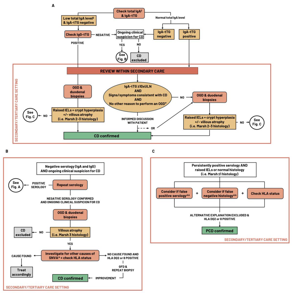 GI_NutritionFdn's tweet photo. The new @BritSocGastro guidelines on #celiacdisease diagnosis and management in adults are now out

✅ Who to test for celiac

✅ Adult diagnostic pathway (patients should consume a gluten-containing diet prior to testing for celiac disease!)

✅ Long-term follow-up

✅ Celiac disease mimickers:

🔸Infections (e.g., Helicobacter pylori, giardiasis)
🔸Drugs (non-steroidal anti-inflammatory drugs, proton pump inhibitors)
🔸Others (e.g., Crohn's disease, autoimmune disease)

✅ The ins and outs of a gluten-free diet 

💡Disease advocacy groups and registered dietitians are key for reliable information about celiac disease and the gluten-free diet

✅ Management of refractory symptoms

✅ Food portions that contain 3 g of gluten that can be used for a gluten challenge

📚Read the guidelines here in @Gut_BMJ:

https://t.co/wrOWW0aXtI