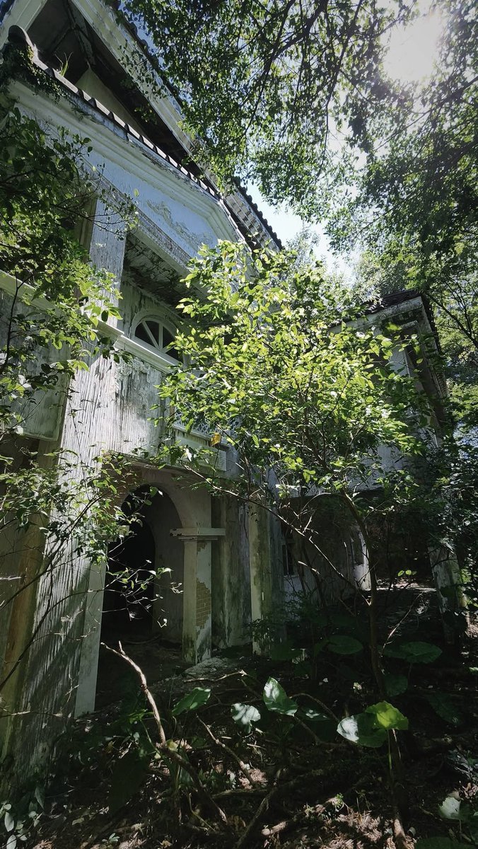 EnTinaCat1's tweet photo. 白薔莊園 (我自己取名的🤣)

我喜歡這裡的安靜。

沒有人問我過得好不好， 沒有人催促我往前走。

我可以只是站著， 看著光落在牆上， 看著樹慢慢佔據屋子。
#廢墟紀錄
#廢棄莊園 https://t.co/Zd7fw9TXGY