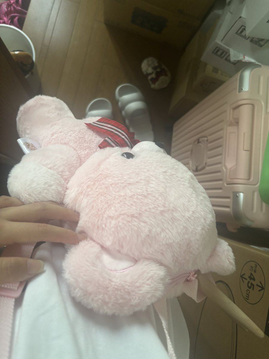 meanonchan1007's tweet photo. こんなリュック背負った異常成人女性がいてたまるかよバチはみ出てるし https://t.co/G7apQ8ynRk