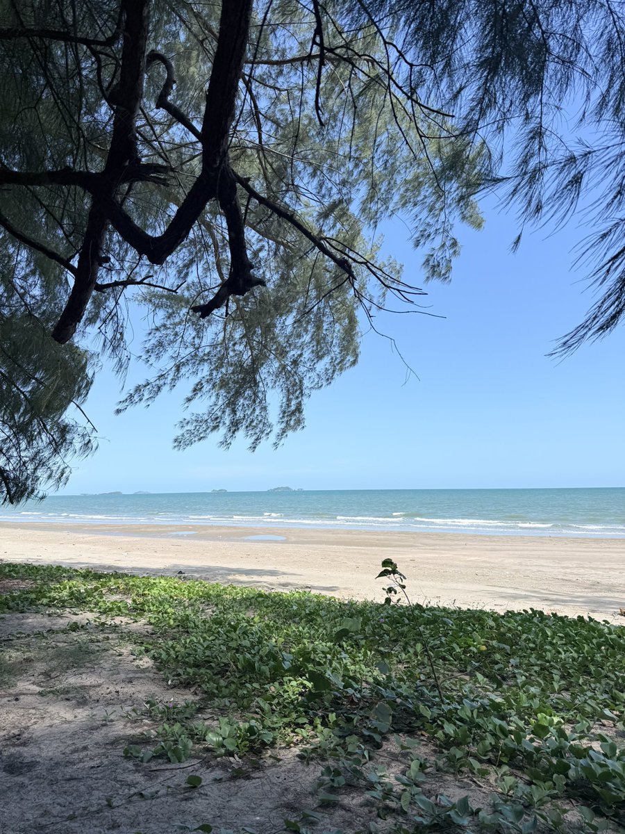 Cm9_Cm9's tweet photo. ท้องฟ้ากับทะเล ไม่เคยรีบ…เราเองก็ไม่ต้องรีบเหมือนกัน

#ระยอง #สวนสน https://t.co/ahTHFnPhnF