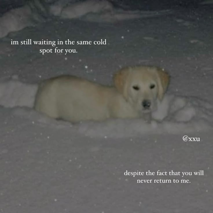 DoggyPosting's tweet photo. https://t.co/3zbGHMbKi0