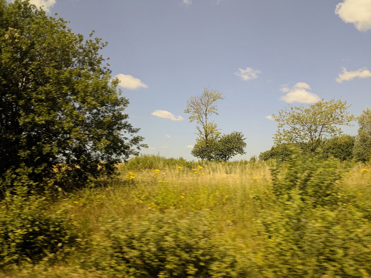 lucirules's tweet photo. i can't drive because then i can't take pretty pictures through the window. no it's not because im scared of driving why would you say that ?? https://t.co/qKiF9HRhzN