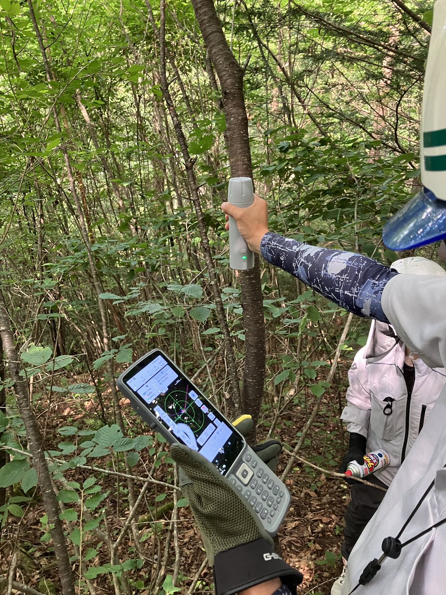 itohnohiroshi's tweet photo. 伐採前の範囲確認で
林の中へFJD Trion V4E Pro SurveyKitと突入
なんとかふぃx出来たので明日から本格的に
測量作業を実施して頂けそうです。 (^^)
安価なアンテナで ここまで出来れば十分かな
ホント、技術の進歩に驚かされます。
#FJD #GNSS #Trion #V4E https://t.co/GZFzdSSRLA