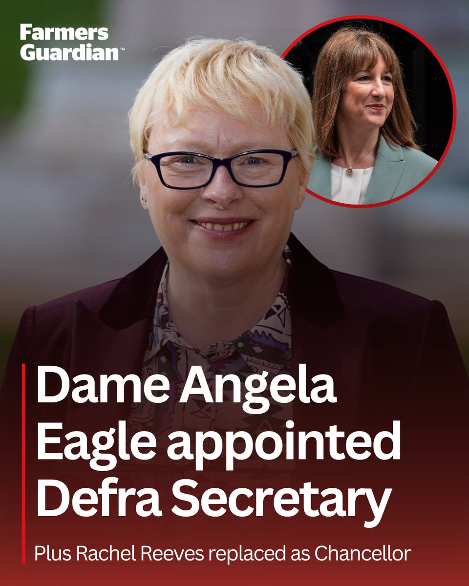 FarmersGuardian's tweet photo. Andy Burnham has announced his Cabinet after becoming Prime Minister yesterday. 💼

Emma Reynolds does not keep her role at DEFRA as she hoped and returns to the Treasury, while former Farming Minister Dame Angela Eagle takes up the post.

Rachel Reeves, who oversaw the introduction of the family farm tax while in post as Chancellor, has not kept her job in the new cabinet and returns to the Labour backbenches. 

READ MORE: https://t.co/hzKPhRSM31
