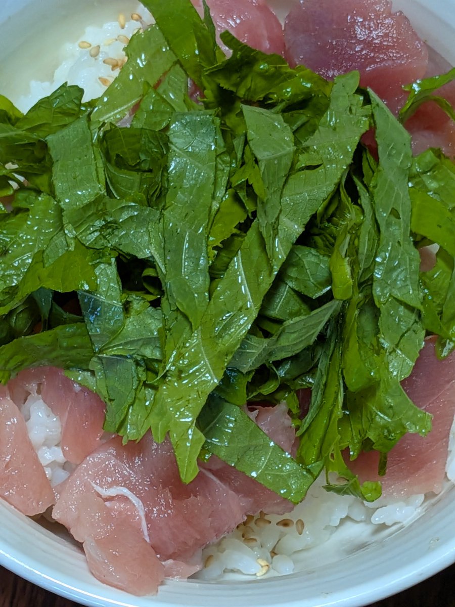 minomanma's tweet photo. めばちマグロの売れ残りゲットしたので剪定し増えてた収穫した大葉を刻んで載せて食べます☺ https://t.co/SsVGEm3y8q