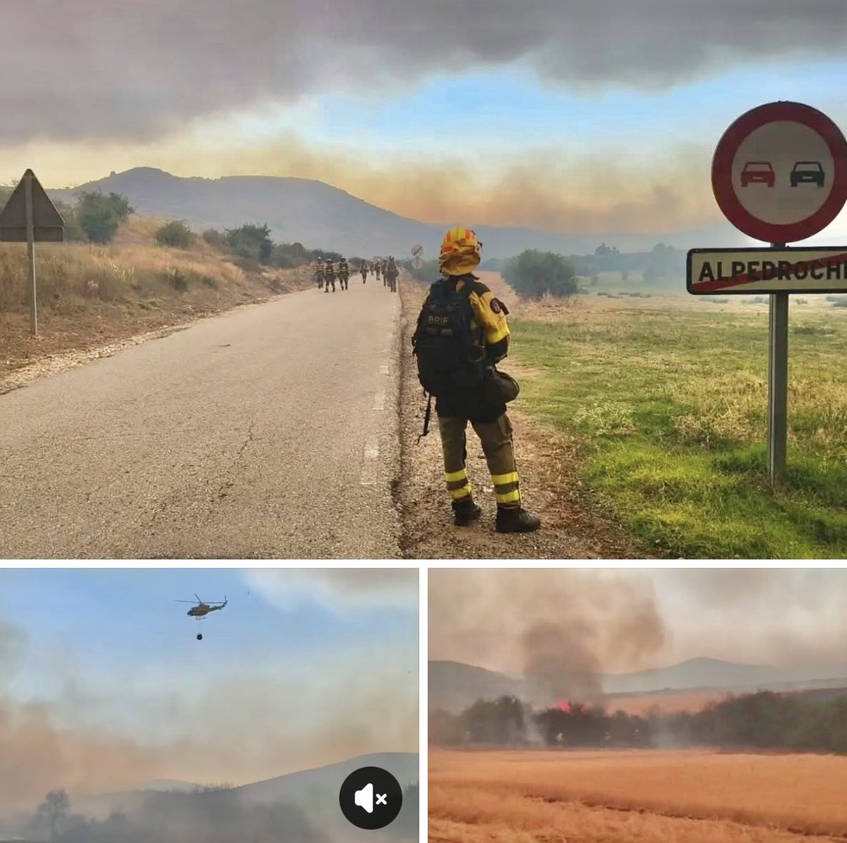 nachoramosc's tweet photo. Incendio Sierra Norte Guadalajara. Muchísimas gracias a todos los que están colaborando en la protección de los pueblos y luchando con este monstruo de incendio! #IFLaMierla https://t.co/DUxfiSf9P2