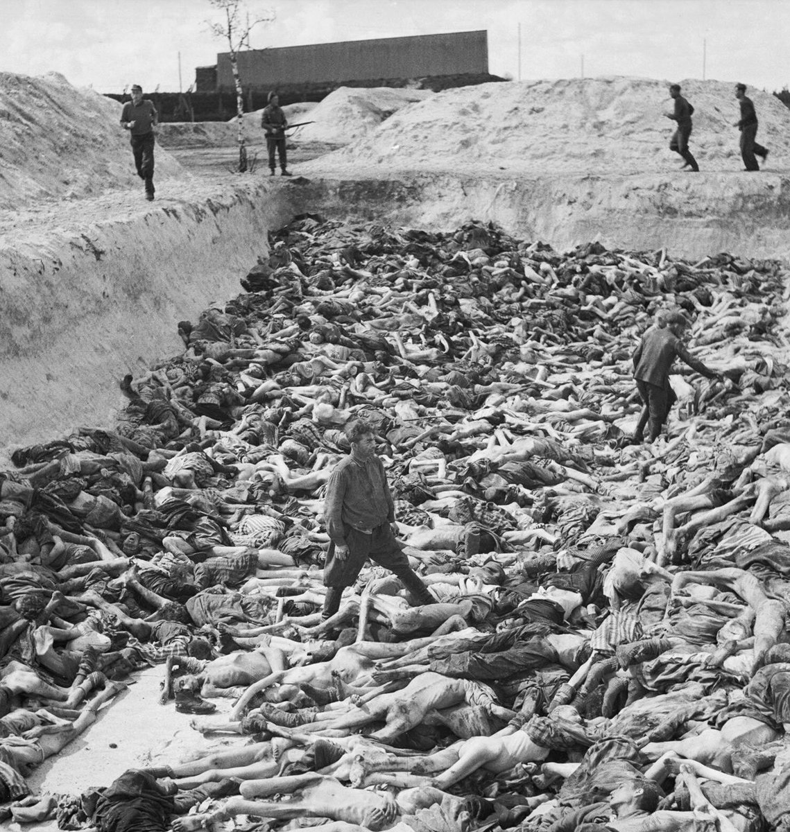 kiII_cuckstains's tweet photo. @DonRandom30 @whitesboys @icedancer001 Lol so you claim that you jooosh subhumans, who got kicked out of 110 countries and 6 million of you were turned into soap and lampshades are winners?

Insane jooosh cope lol. https://t.co/xHjuEbvbYQ