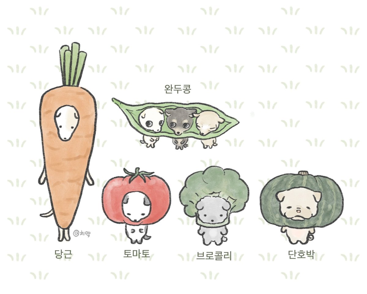 chiikax2's tweet photo. 당신의 건강한 하루를 책임져드리겠습니다.🥗 https://t.co/u1F7IWFKev