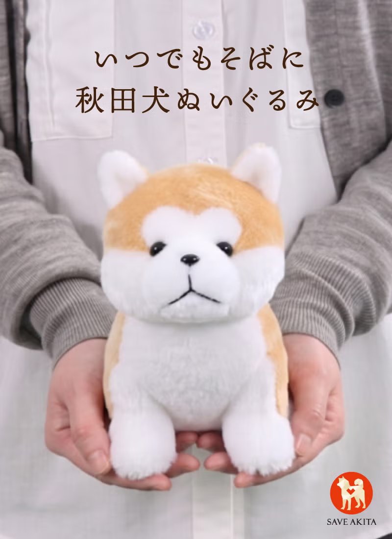 hachifull_'s tweet photo. ‼️🆕‼️新発売‼️🆕‼️

ハチふる ぬいぐるみ🐕✨

意外となかった、
お客様の声が多かった、
シンプルな秋田犬ぬいぐるみ🧸

ご購入はこちら👇
https://t.co/fq0QGal9ZO https://t.co/jtaJ9OI58W