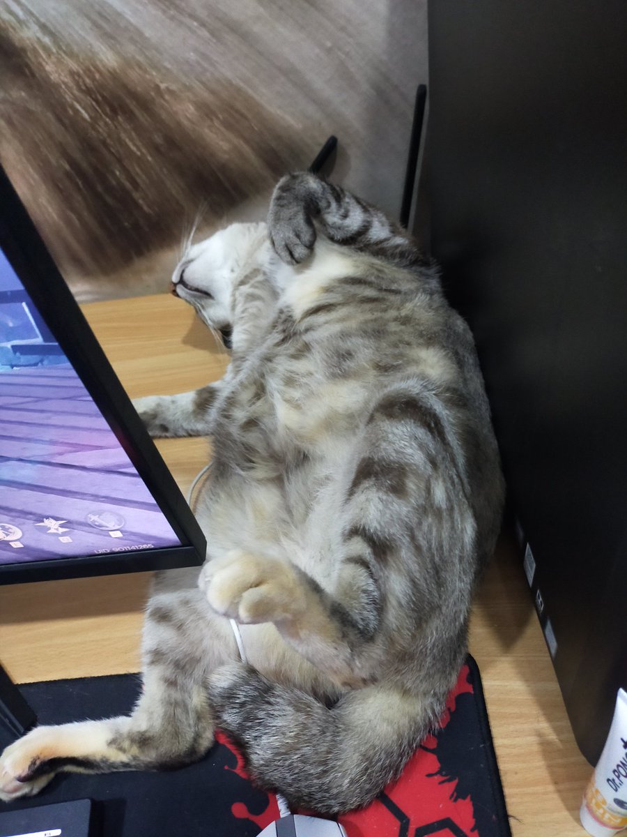 ael_2543's tweet photo. ขายค่ะ แยกส่วนได้ว่าจะเอาน่องลายหรือปีกบน https://t.co/D1Vt7JDDZP