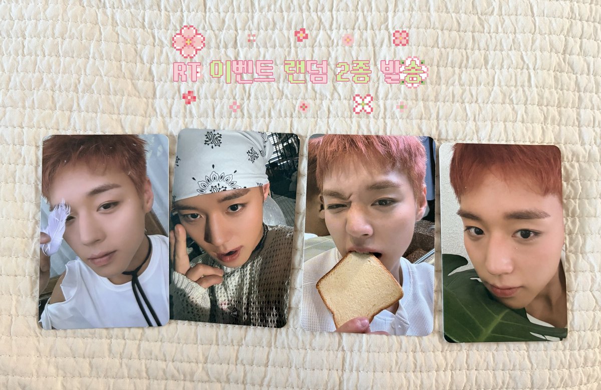 S2_puppyhoon's tweet photo. 리플렉트 앨범 포카 판매

💖 Set 1 (10장) → 15,000원
💖 Set 2 (8장) → 13,000원
💖 Set 3 (5장) → 9,500원
🩷 낱개 → 장당 2,000원 
택배비 별도 / DM주세요

#RT 해주시는 2분께 추첨을 통해 랜덤 2종 배송해드립니다
(두번째 첨부사진 참조) https://t.co/ASBt8bIJa2