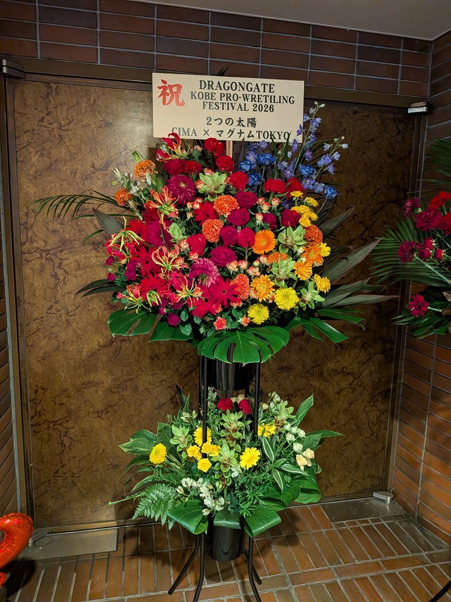 jungchang_matt's tweet photo. そいや花来てた https://t.co/TSQaIlaWEp