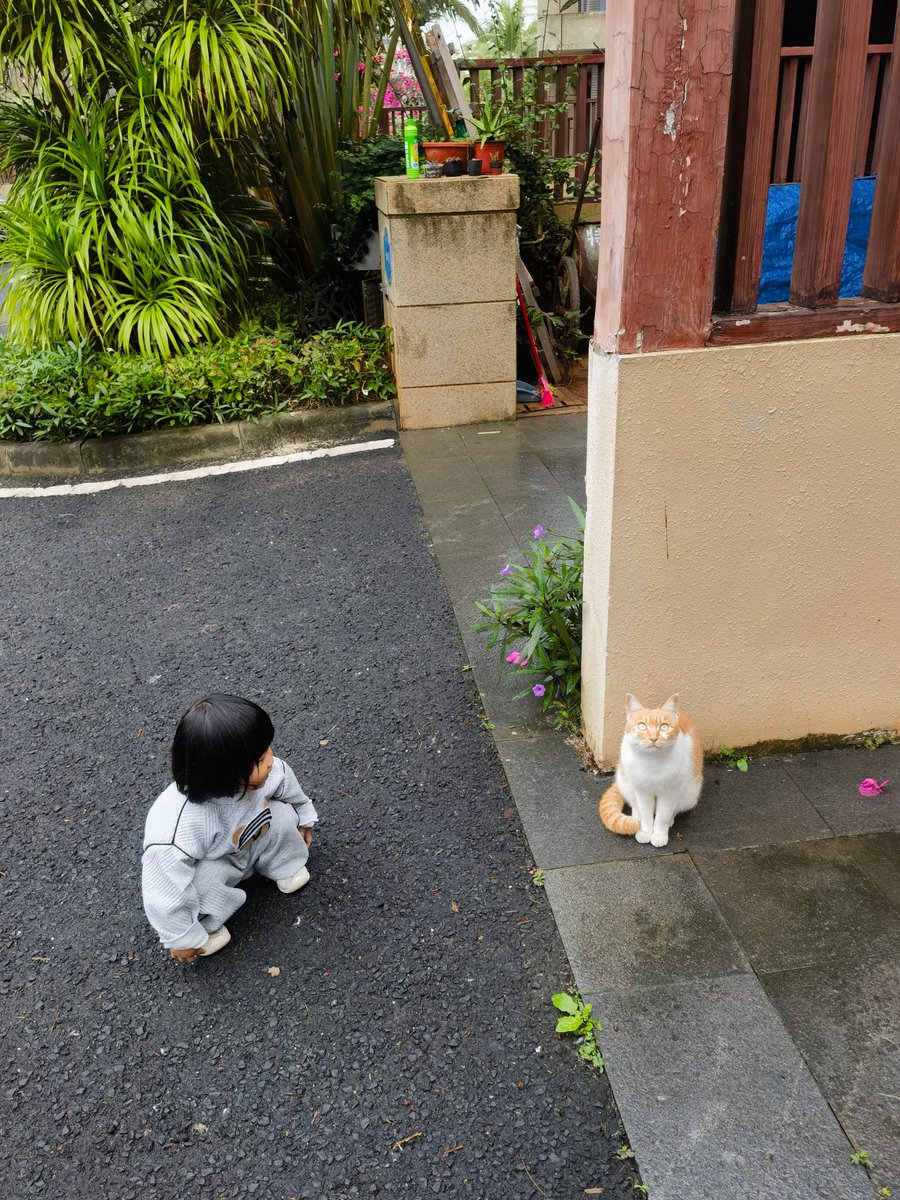 AshliePayseur's tweet photo. 3 months ago this tiny furball stole our hearts  Now look at our pup's silly zoomies around the yard! Pet growth is the best magic.， https://t.co/uD9AltqOvq