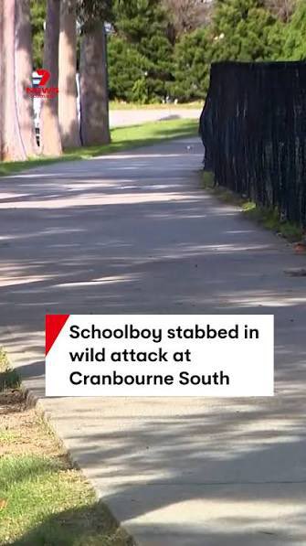 Glenn02936110's tweet photo. “A teenage boy has been hospitalised with serious injuries after being attacked by a group of youths after school in Melbourne’s south-eastern suburbs on Monday.”

Attackers - Middle Eastern 
Used machetes 

A result of Albanese opening the floodgates for incompatible scum and Allan’s ridiculous machete bin attempt to impress voters.
They’re getting better at this that’s a double stuff up in one hit.