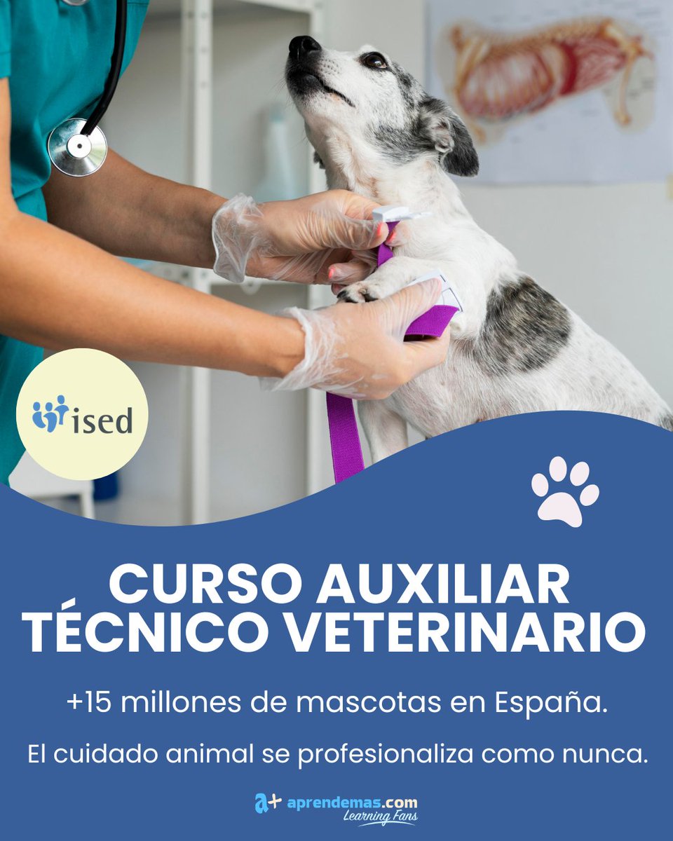 Aprendemas's tweet photo. 🐶😺¿Pasión por los animales? Hay +15M de mascotas esperando tu ayuda. Fórmate como Auxiliar de Veterinaria con @ISEDsalud
+INFO:https://t.co/aheJMWHiup https://t.co/0rZvYq2v90