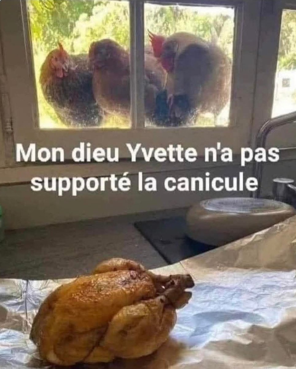 NPOMMERET's tweet photo. La France la poubelle du tier monde est devenu me tier monde #hdprosete https://t.co/52X745S1O7