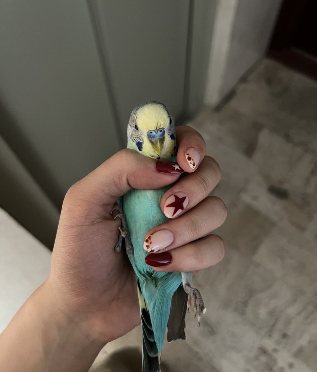 Heresathunder's tweet photo. TIR💅🏼 https://t.co/o5U51QWJqg