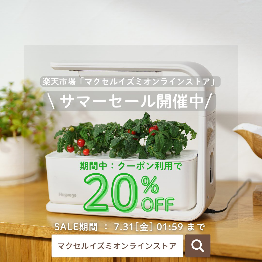 今だけ！ ／ ✓ 20％OFF（クーポン利用） 楽天市場「マクセルイズミ