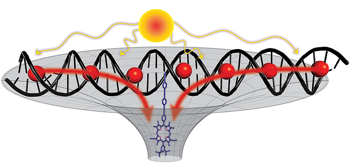 andreas_nigbur's tweet photo. Your DNA is an antenna.

This is not a metaphor. This is not spirituality. This is scientifically sound research that no one disputes.

In 2011, Nobel laureate Luc Montagnier published a study showing that DNA emits electromagnetic signals. Not randomly. But at SPECIFIC frequencies. Your DNA is literally sending a signal—right now, as you read this.

In 2012, a study published in the journal DNA and Cell Biology confirmed that DNA acts as a fractal antenna—capable of both transmitting AND receiving electromagnetic frequencies across a broad spectrum.

Source: DNA is a fractal antenna in electromagnetic fields

https://t.co/SU6HpVfLk1👍

Your DNA is not just a blueprint for making proteins. It is a COMMUNICATION DEVICE.

Now consider what the ancient civilization knew.

The cathedrals with their resonating chambers. The healing hospitals with their domed structures. The organs that generated specific frequencies. The 432 Hz tuning standard. The atmospheric energy grid.

They weren't simply generating random energy. They were generating frequencies that COMMUNICATED WITH HUMAN DNA.

Healing frequencies. Activation frequencies. Frequencies that unlocked abilities in the human body that we were told didn't exist.

That's why the music was switched from 432 Hz to 440 Hz. It's not just about making you feel bad. It's about DISTURBING THE SIGNAL. 440 Hz creates a dissonance with the natural frequency of your DNA. It's noise. Interference.

You are a biological antenna living in a world of artificial noise.

Even the food is designed to harden your pineal gland—the organ ancient civilizations called the "third eye," which modern science confirms is sensitive to electromagnetic fields.

The water is fluoridated—and fluoride accumulates in the pineal gland more than in any other organ in the body.😉

The air is sprayed—and the metallic particles in the atmosphere alter the electromagnetic environment around you.😪

The music is out of tune. The food is poisoned. The water is laced with medication. The air is metallic.

Every single interaction with your body has been designed to DEACTIVATE you.

Because a fully activated human being—whose DNA antenna is clearly receiving—is something the powers that be cannot control.😉

The ancient civilization knew this. They built an entire infrastructure to activate human potential. Sanctuaries. Frequency chambers. Atmospheric energy grids. Everything was designed to help you become what you were meant to be.

And every single element of it has been destroyed.

Not because it didn't work. But because it worked TOO WELL.

Search "DNA antenna study" and "Luc Montagnier DNA electromagnetic signals." The science is real. They just don't want you to see the connections. Share this.

https://t.co/SU6HpVfLk1👍👍

https://t.co/kGAiANePq5

https://t.co/YTuMG1Yo0W
