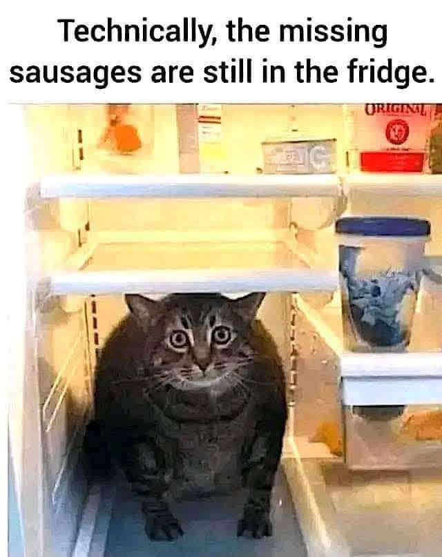 JacquelineMates's tweet photo. Good morning 💞  I actually felt like sitting in the fridge last week...thankfully it's a bit cooler which means I might actually get to do something without dying 💞  Enjoy your day and take it easy 🤗💖💞 https://t.co/1dPSEE0mwl