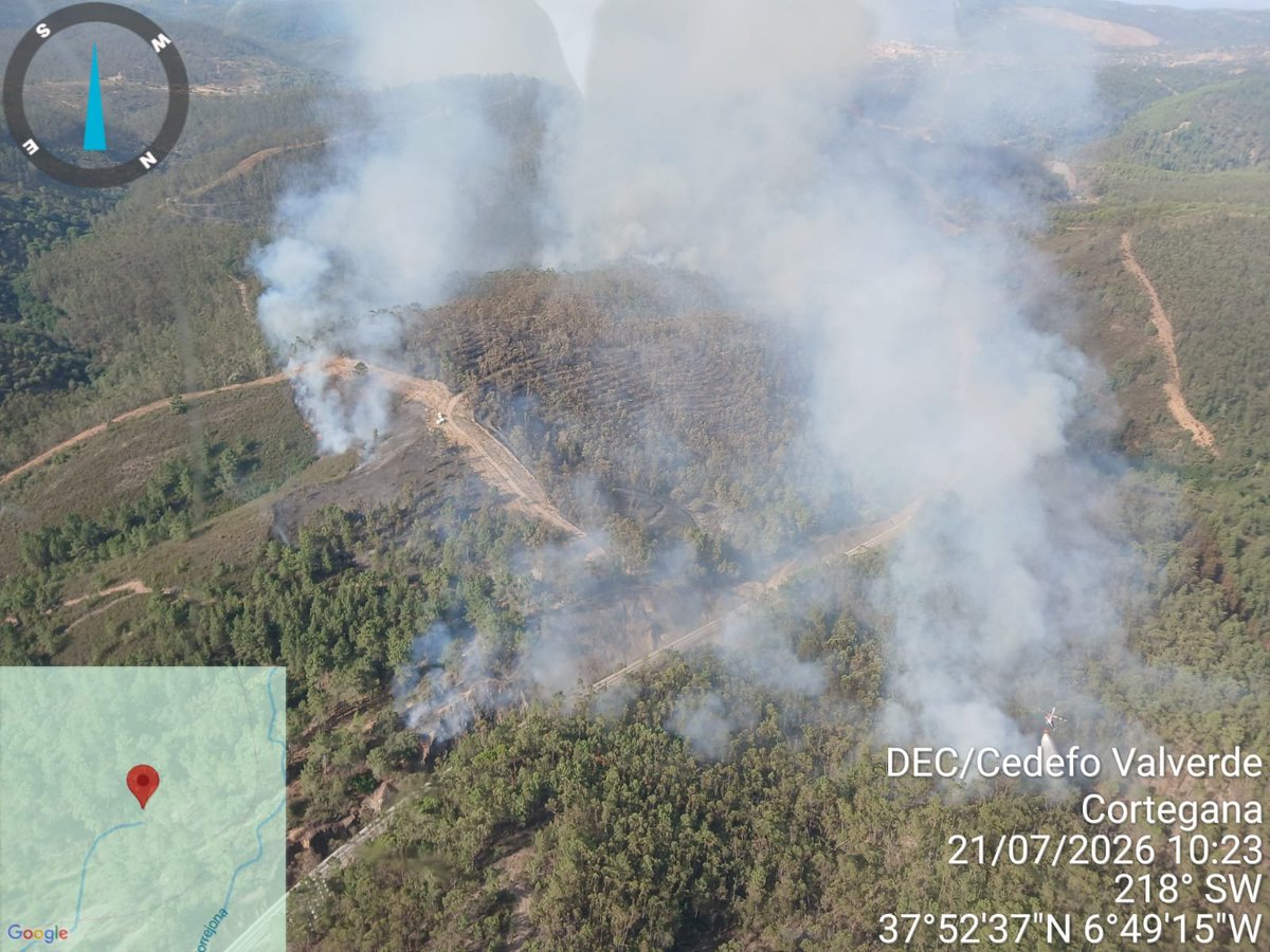 Plan_INFOCA's tweet photo. 🔴#IFAlmonasterLaReal (#Huelva), paraje Las Veredas, zona de eucaliptos. Incendio ACTIVO. 

ACTUALIZAMOS:
🧑‍🚒 50 efectivos por tierra
🚁 1 pesado, 2 semipesados, 1 ligero
🚒 3 autobombas
🛩️ 2 de carga en tierra, 2 anfibios ligeros
🚜 2 buldóceres https://t.co/nuHnCKtWFh