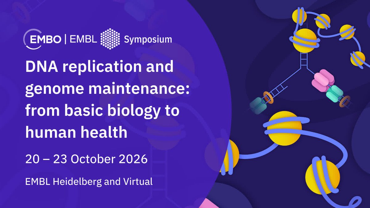 EMBLEvents's tweet photo. Last chance to submit your abstract for 'DNA replication and genome maintenance: from basic biology to human health'!

If you work in DNA replication, genome maintenance, chromosome organisation, chromatin maintenance, or a related field, this meeting is for you – make sure to register before 28 July: https://t.co/upQT35w2Hs

🧬 Session topics
• Replisome structure and function
• Replication in time and space
• Chromatin replication and cell fate
• Replication stress and genome stability
• Replication-coupled DNA repair
• Replication in development, ageing, and cancer

📍 EMBL Heidelberg and Virtual
📅 20 – 23 October 2026
#EESReplication