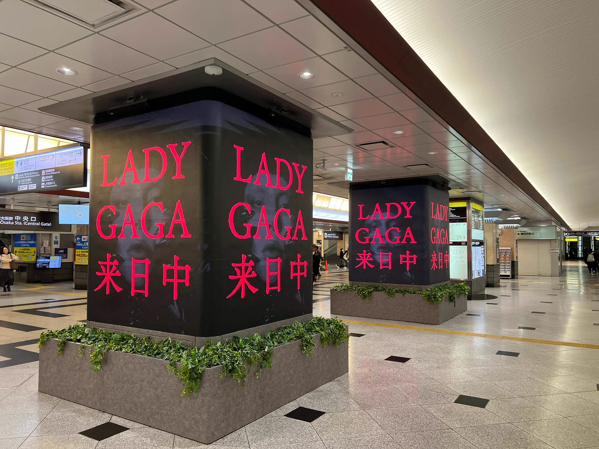 Lady Gaga Japan on X: 
