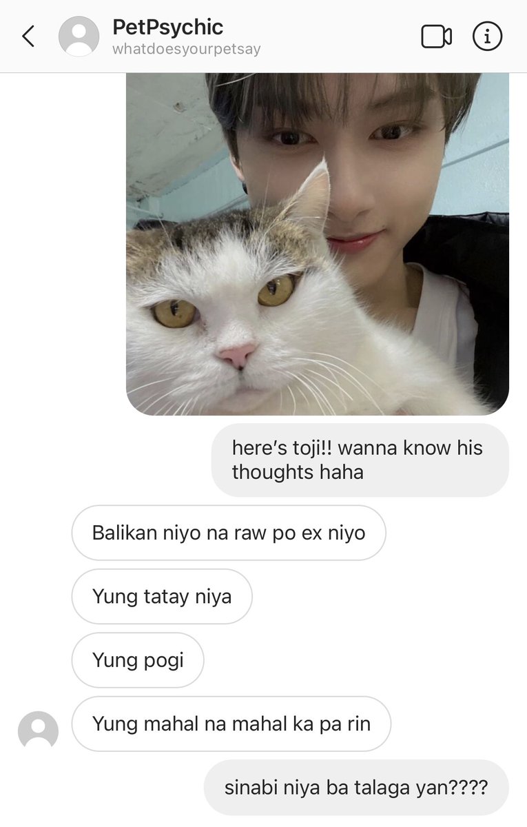 cosmicwills's tweet photo. #wonhui au

yung lahat kalaban pati pusa mo…

1, 2, 3… go kanya kanya na https://t.co/4xU4d45NeE
