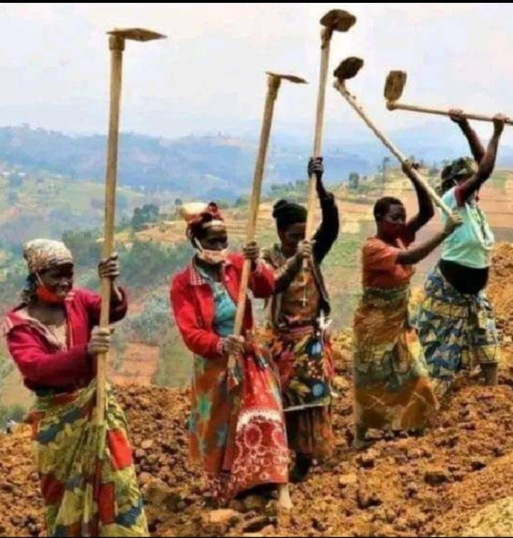 weehmzeee's tweet photo. Leo nayo ni kulima Mbiti na huyo Amerix wake wa "we told this kids to find real jobs" https://t.co/OAiptGyWHX