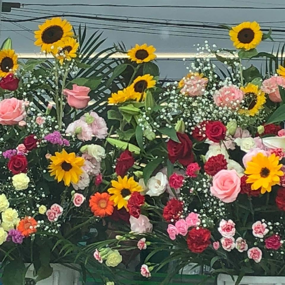 思い出写真 ひまわり🌻畑は 市外にでかけたとき目に止まった 向日葵を
