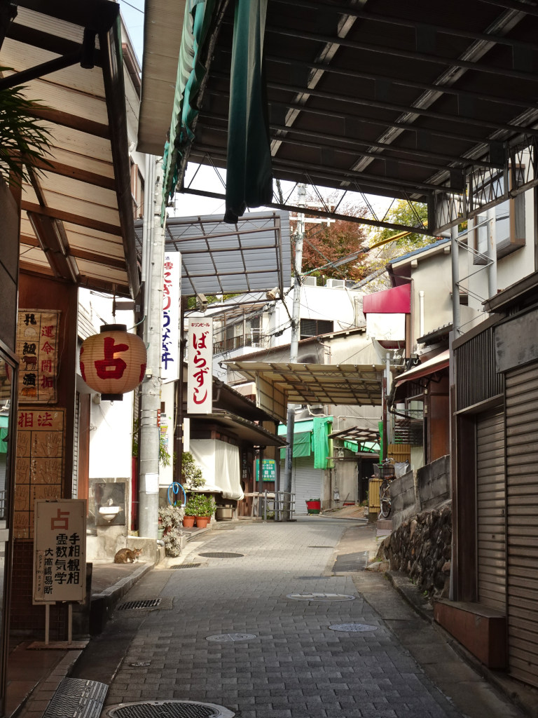 furonomono's tweet photo. https://t.co/KEfznpbbVL