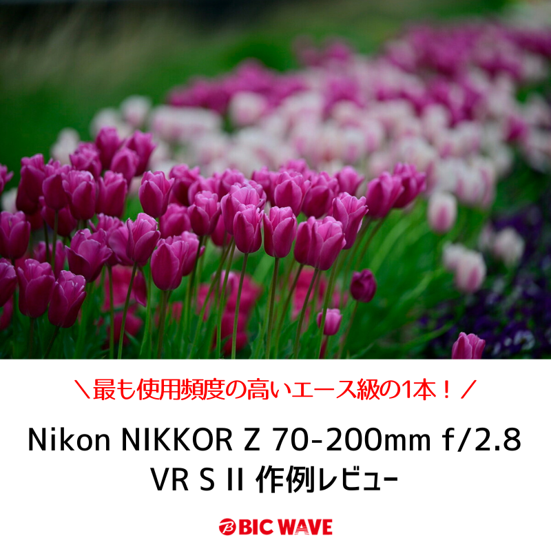 新着 #BICWAVE】 Nikon NIKKOR Z 70-200mm f/2.8 VR S II 作例レビュー